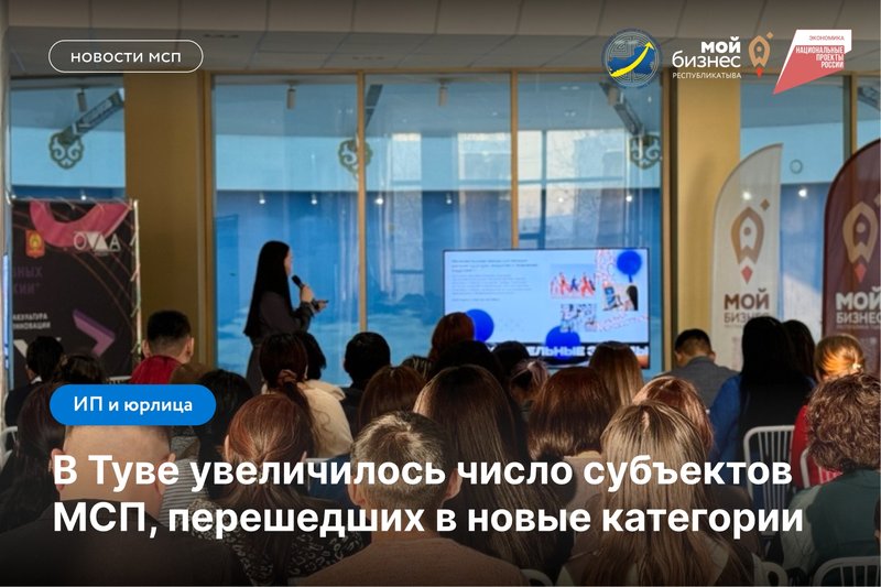 Более 7500 субъектов МСП выросли в категории с начала года в Туве