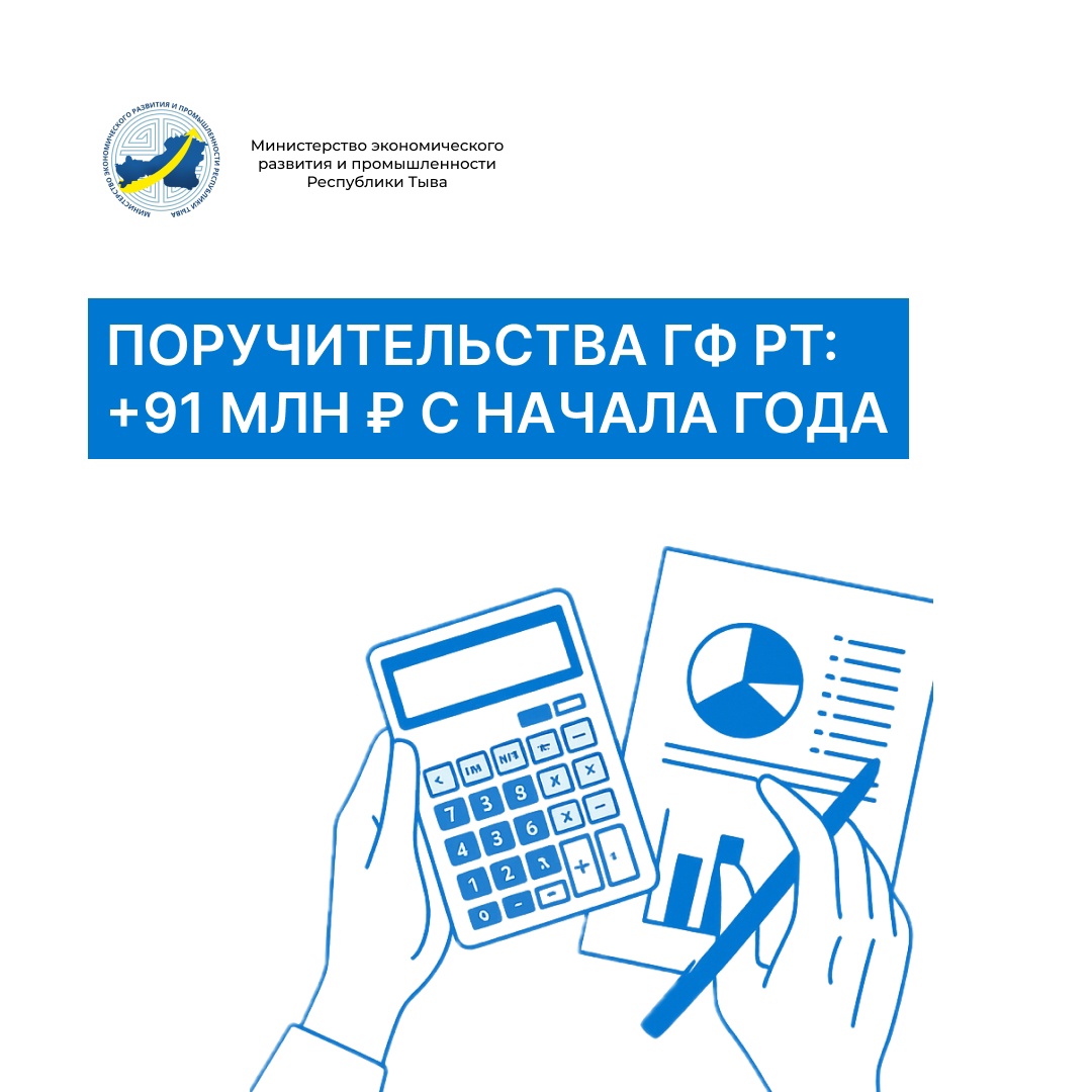 Предприниматели Тувы привлекли более 91 млн рублей с начала года при поддержке Гарантийного фонда